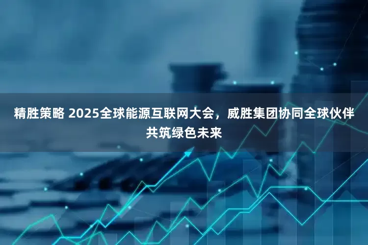 精胜策略 2025全球能源互联网大会，威胜集团协同全球伙伴共筑绿色未来